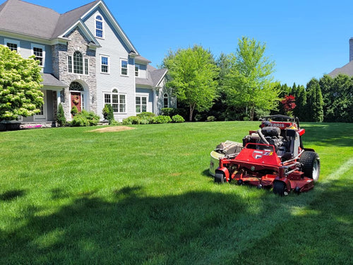 General Lawn  Care, Trimming, seasonal cleanups and more