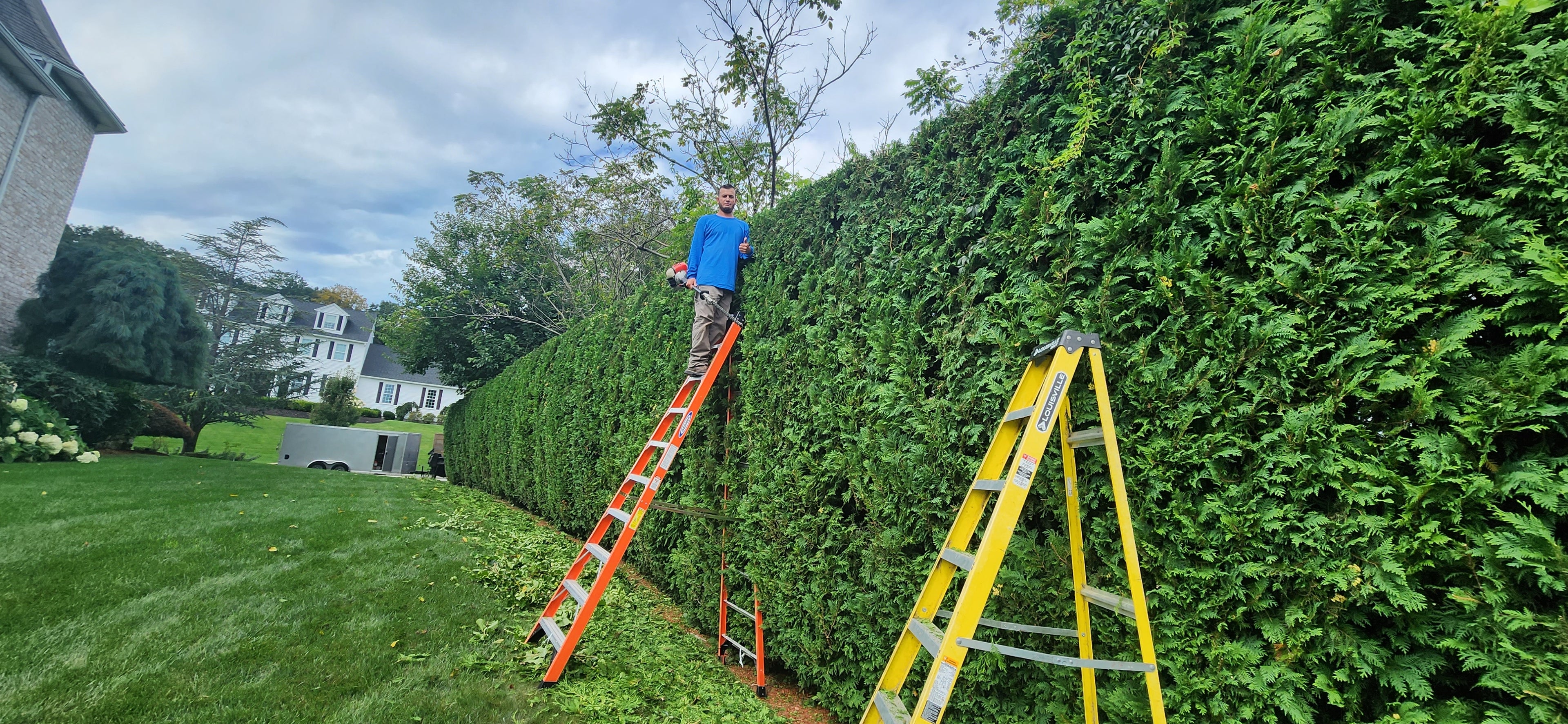 General Lawn  Care, Trimming, seasonal cleanups and more